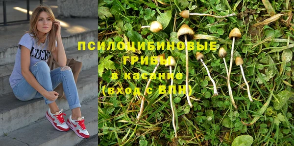 винт Балахна